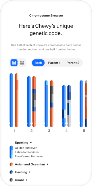 Wisdom panel hotsell test failed